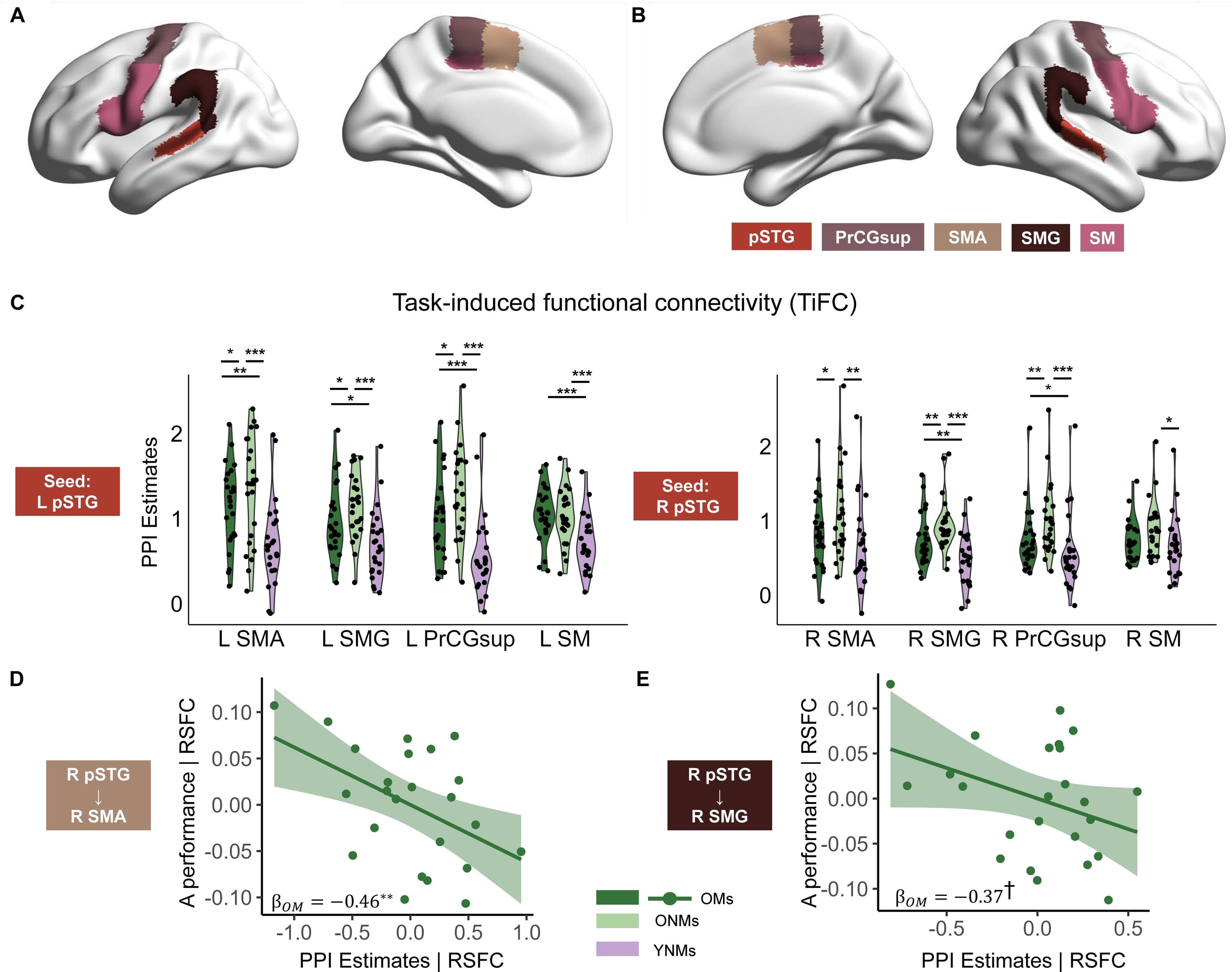 Why Musician' Brain Ages Like A Fine Wine 🍷🎵 preview